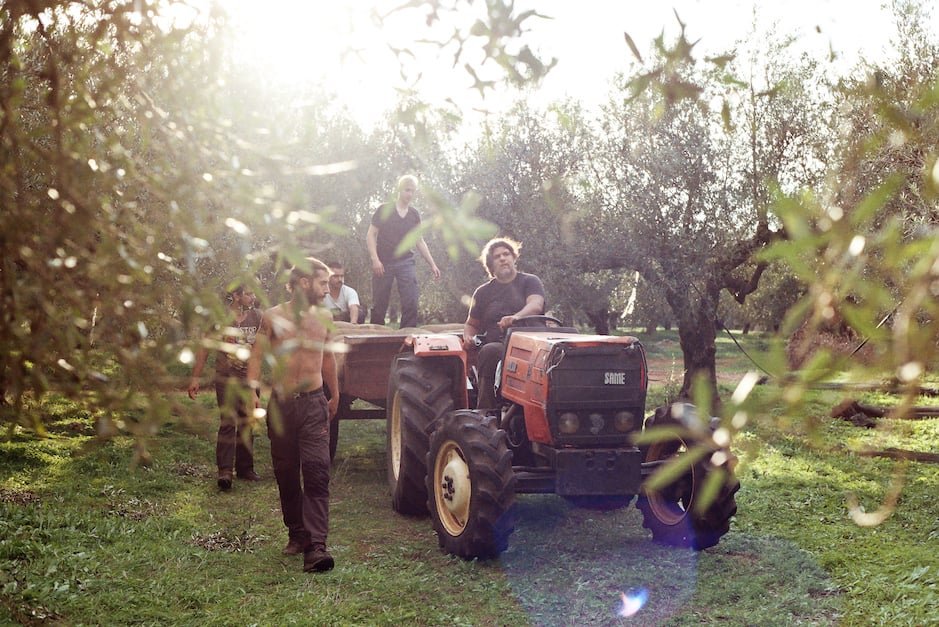greece-recruits-5,000-egyptian-farmworkers-to-salvage-harvests