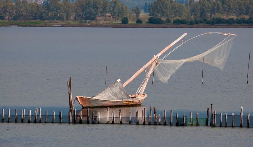 Traditional Fishing in Greece’s Messolonghi-Aitolikos Lagoons: A Sustainable Legacy traditional-fishing-in-greece’s-messolonghi-aitolikos-lagoons:-a-sustainable-legacy