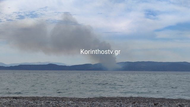 Συναγερμός στο Λουτράκι: Φωτιά σε δασική έκταση στη θέση Σκαλωσιά Συναγερμός-στο-Λουτράκι:-Φωτιά-σε-δασική-έκταση-στη-θέση-Σκαλωσιά