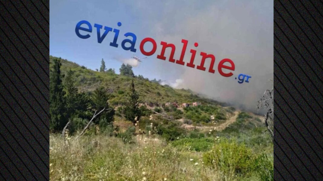 Χωρίς ενεργό μέτωπο η φωτιά στο Σπαθάρι Ευβοίας, δείτε βίντεο Χωρίς-ενεργό-μέτωπο-η-φωτιά-στο-Σπαθάρι-Ευβοίας,-δείτε-βίντεο