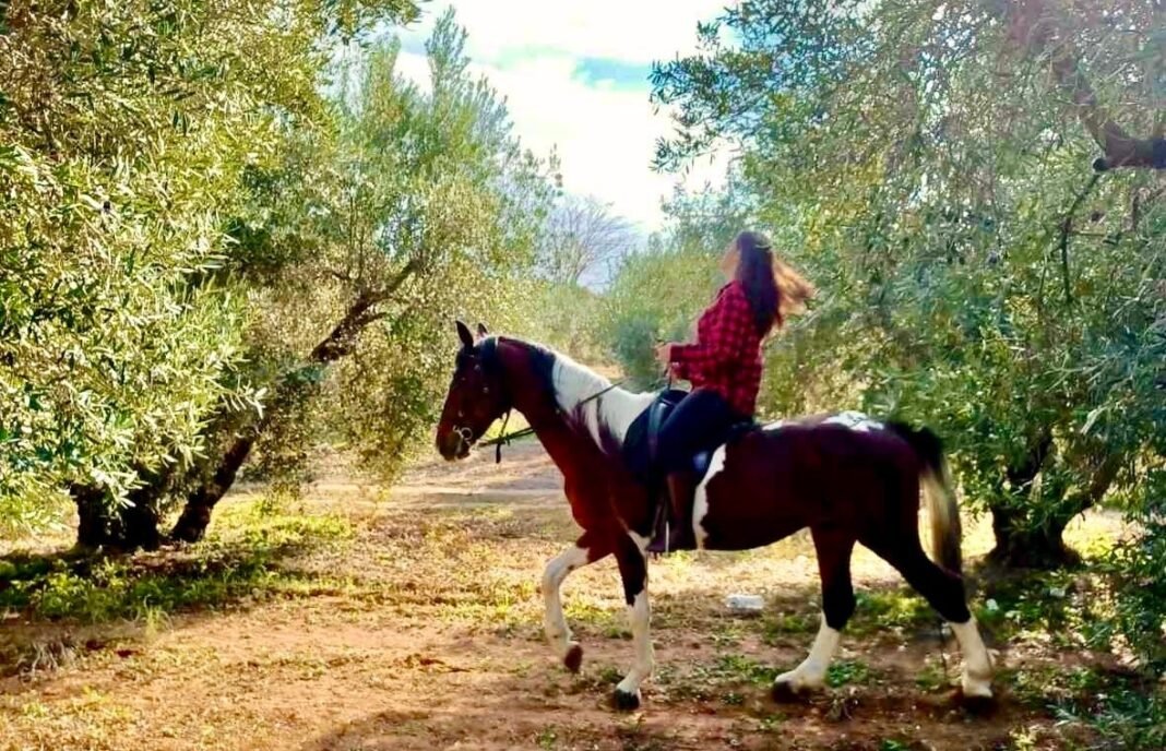 How Greece’s Women Olive Farmers are Transforming Tradition how-greece’s-women-olive-farmers-are-transforming-tradition
