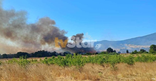 Καλύτερη η εικόνα της φωτιάς στη Μαριολάτα Φωκίδας Καλύτερη-η-εικόνα-της-φωτιάς-στη-Μαριολάτα-Φωκίδας