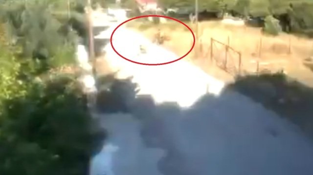Γεωργιάδης: Υποψήφια της Πλεύσης Ελευθερίας η 57χρονη που έβαλε φωτιά σε ξερά χόρτα στην Κορινθία, εκεί οδηγεί η καθημερινή τοξικότητα Γεωργιάδης:-Υποψήφια-της-Πλεύσης-Ελευθερίας-η-57χρονη-που-έβαλε-φωτιά-σε-ξερά-χόρτα-στην-Κορινθία,-εκεί-οδηγεί-η-καθημερινή-τοξικότητα