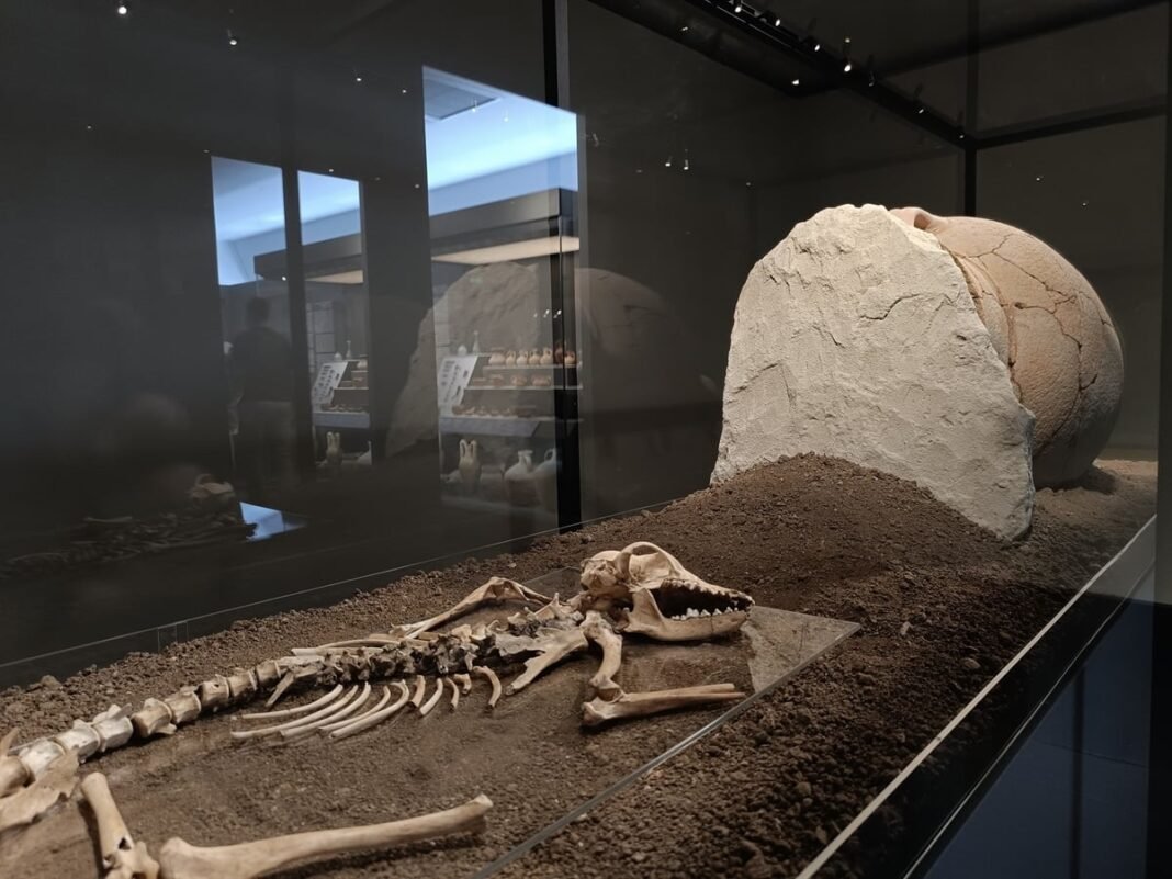 The Moving Story of a Boy and His Dog, Buried Together in Ancient Crete the-moving-story-of-a-boy-and-his-dog,-buried-together-in-ancient-crete