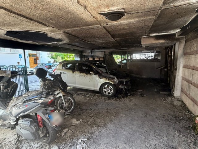 Πράξεις τρομοκρατίας δεν ταιριάζουν στην κοινωνία, θα μας βρίσκουν πάντα απέναντί τους, λέει ο Ιωακείμοβιτς για τις επιθέσεις με γκαζάκια Πράξεις-τρομοκρατίας-δεν-ταιριάζουν-στην-κοινωνία,-θα-μας-βρίσκουν-πάντα-απέναντί-τους,-λέει-ο-Ιωακείμοβιτς-για-τις-επιθέσεις-με-γκαζάκια