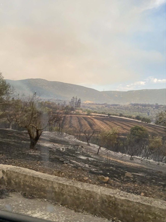 Εκδηλώθηκαν 40 αγροτοδασικές πυρκαγιές το τελευταίο εικοσιτετράωρο, η ενημέρωση της Πυροσβεστικής Εκδηλώθηκαν-40-αγροτοδασικές-πυρκαγιές-το-τελευταίο-εικοσιτετράωρο,-η-ενημέρωση-της-Πυροσβεστικής