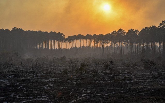Γαλλία: Μάχη με τις φλόγες δίνουν 2000 πυροσβέστες σε πύρινα μέτωπα στο νότιο τμήμα Γαλλία:-Μάχη-με-τις-φλόγες-δίνουν-2000-πυροσβέστες-σε-πύρινα-μέτωπα-στο-νότιο-τμήμα