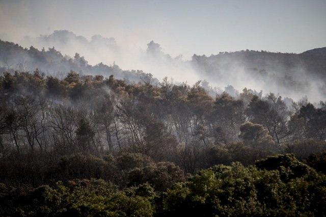 meteo:-Η-φωτιά-στην-Οινόη-δημιούργησε-τον-δικό-της-καιρό