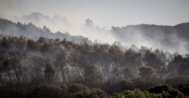 Φωτιά-στην-Οινόη:-Κινδύνευσαν-σπίτια,-την-έχουμε-περικυκλώσει-πιστεύω-πως-θα-τεθεί-υπό-έλεγχο,-λέει-ο-δήμαρχος