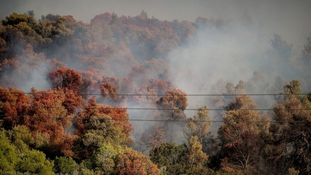 Χωρίς ενεργό μέτωπο η φωτιά στην Οινόη, ισχυρές πυροσβεστικές δυνάμεις συνεχίζουν να επιχειρούν Χωρίς-ενεργό-μέτωπο-η-φωτιά-στην-Οινόη,-ισχυρές-πυροσβεστικές-δυνάμεις-συνεχίζουν-να-επιχειρούν