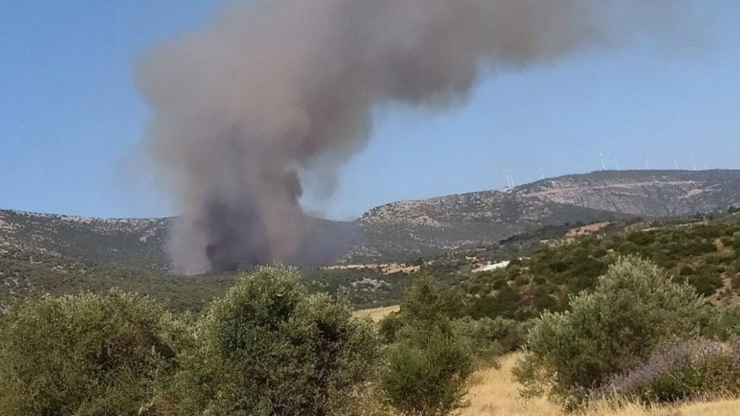 Φωτιά τώρα στην Αγία Ελένη Τροιζηνίας: Μήνυμα 112 για εκκένωση προς Άνω Φανάρι Φωτιά-τώρα-στην-Αγία-Ελένη-Τροιζηνίας:-Μήνυμα-112-για-εκκένωση-προς-Άνω-Φανάρι
