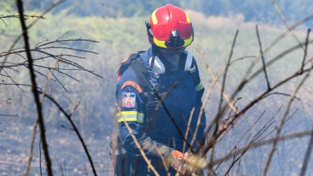 Μια σύλληψη για πρόκληση πυρκαγιάς από αμέλεια στα Τρίκαλα Μια-σύλληψη-για-πρόκληση-πυρκαγιάς-από-αμέλεια-στα-Τρίκαλα
