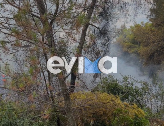 Φωτιά σε δασική έκταση στην Εύβοια, πιθανότατα προκλήθηκε μετά από πτώση κεραυνού Φωτιά-σε-δασική-έκταση-στην-Εύβοια,-πιθανότατα-προκλήθηκε-μετά-από-πτώση-κεραυνού