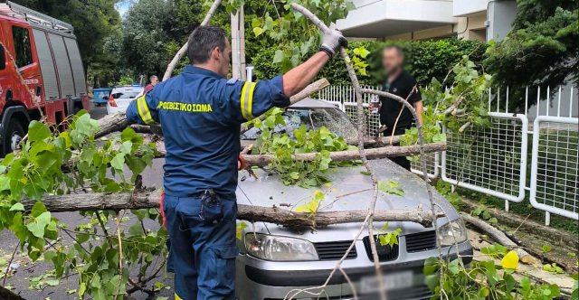 Δέντρο-έπεσε-πάνω-σε-αυτοκίνητο-στο-Μενίδι,-δείτε-φωτογραφίες