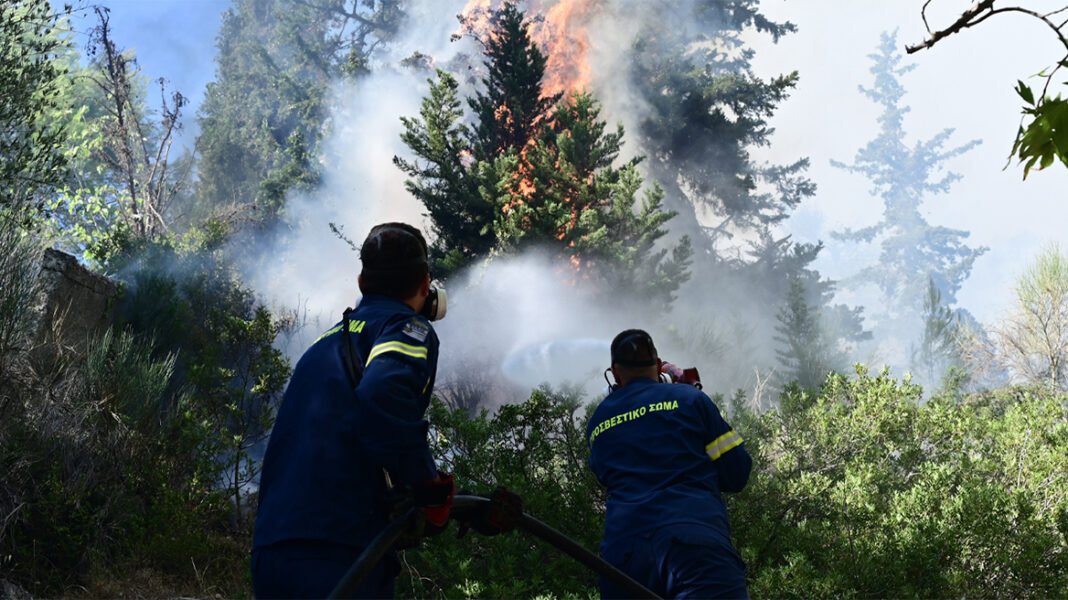 Σπινθήρες από αυτοκίνητο προκάλεσαν τη φωτιά στις Σέρρες, συνελήφθησαν 34χρονος και 17χρονος Σπινθήρες-από-αυτοκίνητο-προκάλεσαν-τη-φωτιά-στις-Σέρρες,-συνελήφθησαν-34χρονος-και-17χρονος