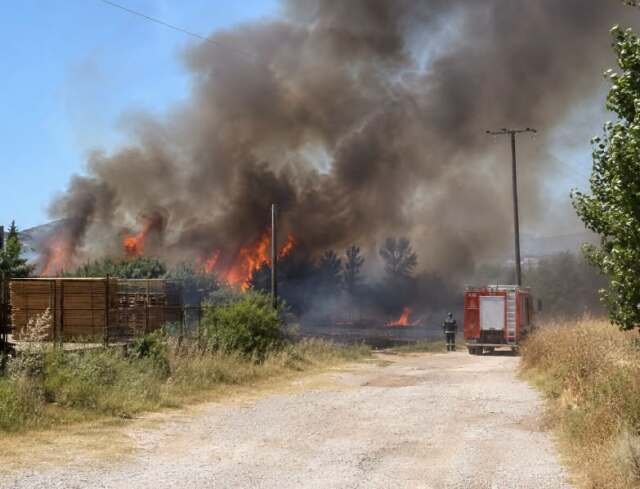 Θεσσαλονίκη:Οριοθετημένη η πυρκαγιά στο Περιβολάκι Λαγκαδά, συνεχίζεται η επιχείρηση πλήρους κατάσβεσης Θεσσαλονίκη:Οριοθετημένη-η-πυρκαγιά-στο-Περιβολάκι-Λαγκαδά,-συνεχίζεται-η-επιχείρηση-πλήρους-κατάσβεσης