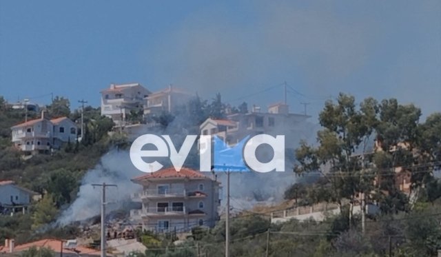 Κατεσβέσθη η φωτιά στην Ακτή Νηρέως στην Εύβοια Κατεσβέσθη-η-φωτιά-στην-Ακτή-Νηρέως-στην-Εύβοια