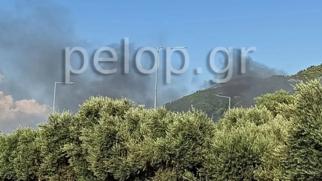 Οριοθετήθηκε η φωτιά στα Καρτσαναίικα Πατρέων Οριοθετήθηκε-η-φωτιά-στα-Καρτσαναίικα-Πατρέων