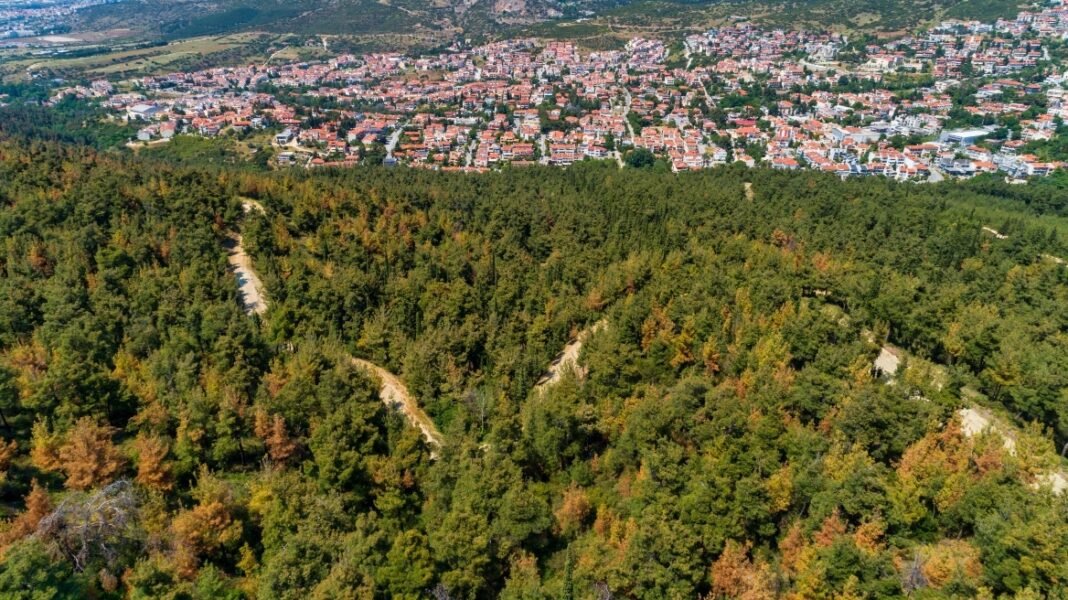 Υψηλός κίνδυνος πυρκαγιάς αύριο σε δασικές εκτάσεις της Θεσσαλονίκης, απαγόρευση κυκλοφορίας Υψηλός-κίνδυνος-πυρκαγιάς-αύριο-σε-δασικές-εκτάσεις-της-Θεσσαλονίκης,-απαγόρευση-κυκλοφορίας