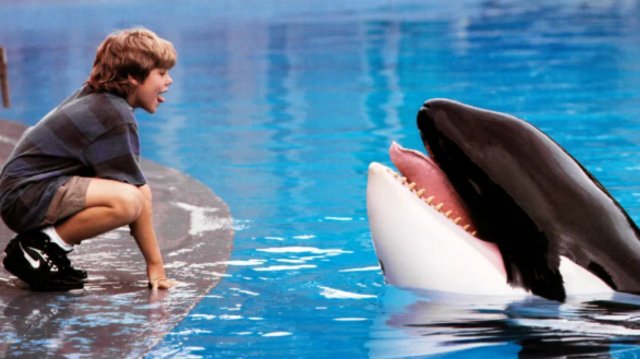 Η-warner-bros-ετοιμάζει-reboot-του-«free-willy»