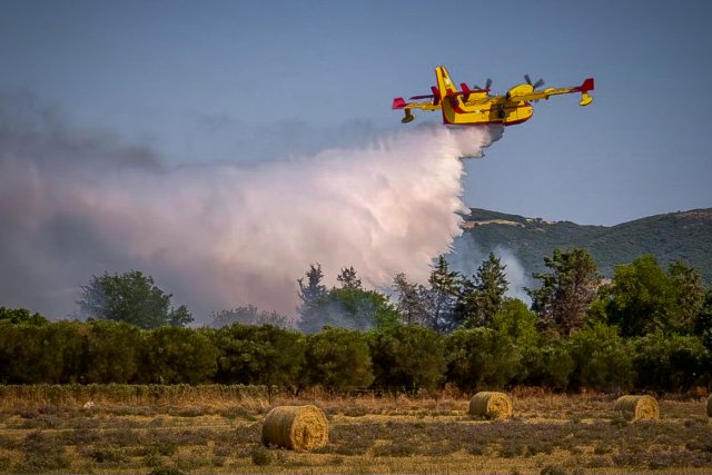 Ενισχύεται το Ανακριτικό της Πυροσβεστικής στην Θεσσαλονίκη μετά από αυξημένες φωτιές το τελευταίο διάστημα Ενισχύεται-το-Ανακριτικό-της-Πυροσβεστικής-στην-Θεσσαλονίκη-μετά-από-αυξημένες-φωτιές-το-τελευταίο-διάστημα