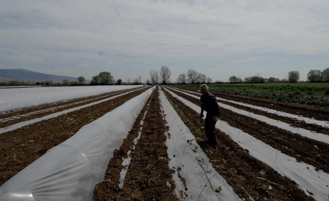 ΑΑΔΕ: Παρατείνεται έως τις 31 Ιουλίου η υποβολή αιτήσεων ενίσχυσης αγοράς λιπασμάτων ΑΑΔΕ:-Παρατείνεται-έως-τις-31-Ιουλίου-η-υποβολή-αιτήσεων-ενίσχυσης-αγοράς-λιπασμάτων