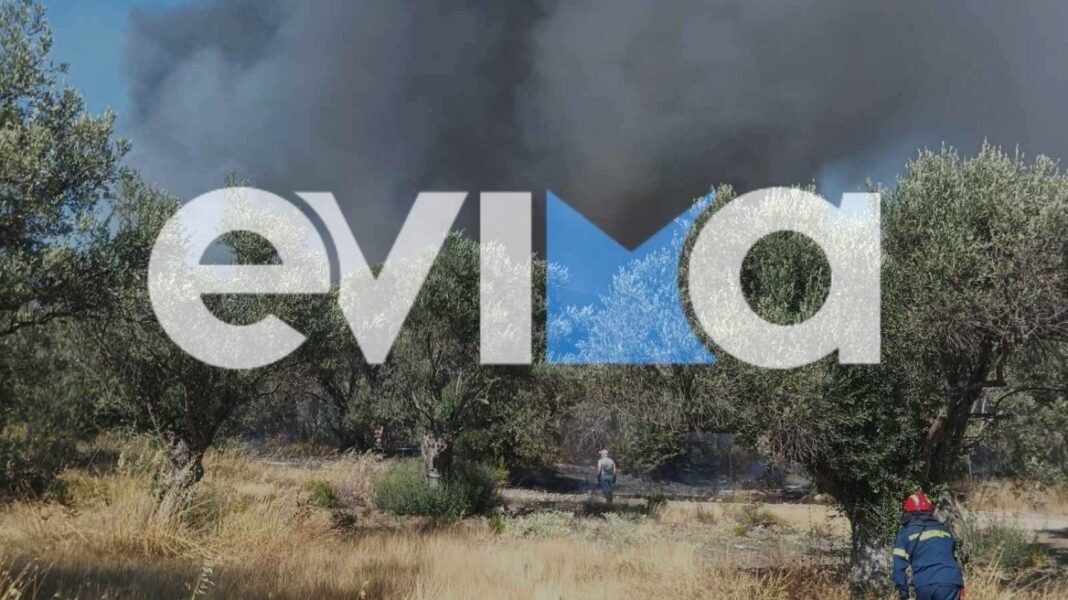 Χωρίς ενεργό μέτωπο η φωτιά σε δάσος στα Πολιτικά Εύβοιας, δείτε βίντεο και φωτογραφίες Χωρίς-ενεργό-μέτωπο-η-φωτιά-σε-δάσος-στα-Πολιτικά-Εύβοιας,-δείτε-βίντεο-και-φωτογραφίες