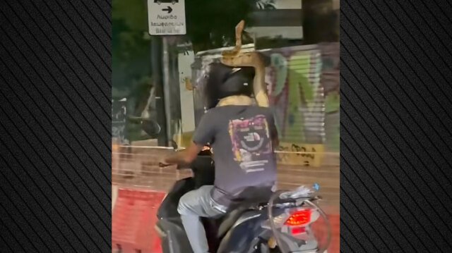 viral-βίντεο:-Οδηγός-μηχανής-κυκλοφορεί-στο-κέντρο-της-Αθήνας-με-τεράστιο-φίδι-τυλιγμένο-στον-λαιμό-του