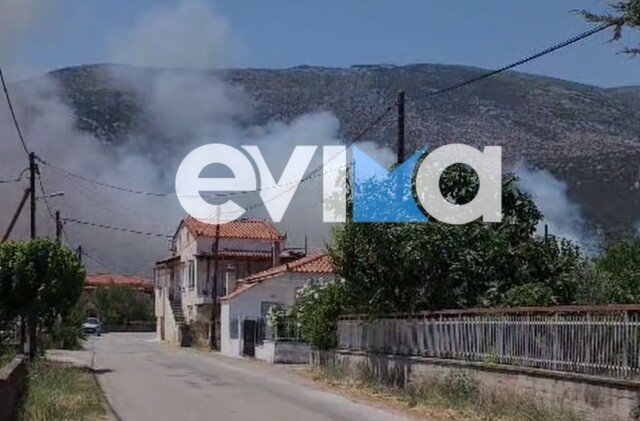 Μεγάλη φωτιά κοντά σε σπίτια στην Εύβοια: Εστάλη 112 για εκκένωση του χωριού της Επισκοπής Μεγάλη-φωτιά-κοντά-σε-σπίτια-στην-Εύβοια:-Εστάλη-112-για-εκκένωση-του-χωριού-της-Επισκοπής