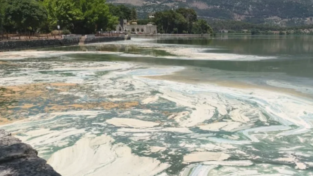Έντονη δυσοσμία στην Παμβώτιδα, αφρός και κυανοβακτήρια στη λίμνη: Δείτε βίντεο και φωτογραφίες Έντονη-δυσοσμία-στην-Παμβώτιδα,-αφρός-και-κυανοβακτήρια-στη-λίμνη:-Δείτε-βίντεο-και-φωτογραφίες