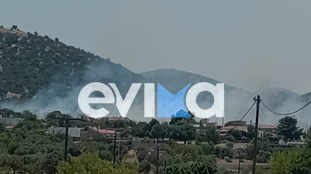Φωτιά στην Εύβοια κοντά σε σπίτια και σε εργοστάσιο – Ήχησε 112 Φωτιά-στην-Εύβοια-κοντά-σε-σπίτια-και-σε-εργοστάσιο-–-Ήχησε-112