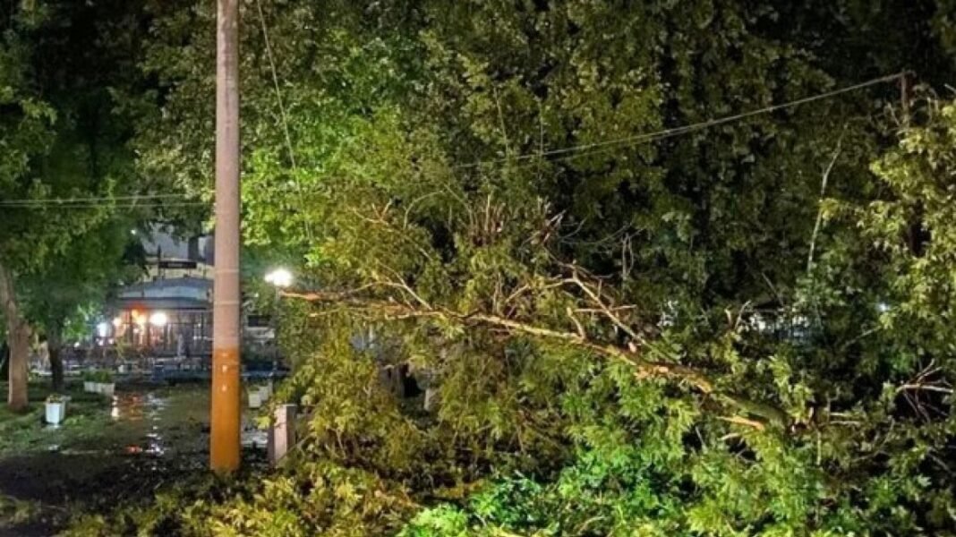 Πτώσεις δέντρων και πλημμυρισμένοι δρόμοι σε Δράμα και Κομοτηνή, 41 κλήσεις δέχθηκε η Πυροσβεστική Πτώσεις-δέντρων-και-πλημμυρισμένοι-δρόμοι-σε-Δράμα-και-Κομοτηνή,-41-κλήσεις-δέχθηκε-η-Πυροσβεστική