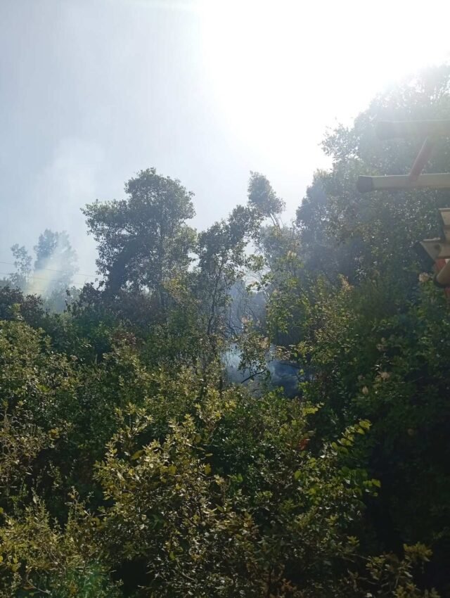 Χωρίς ενεργό μέτωπο η φωτιά στο Άνω Κεράσοβο Αιτωλοακαρνανίας, δείτε βίντεο Χωρίς-ενεργό-μέτωπο-η-φωτιά-στο-Άνω-Κεράσοβο-Αιτωλοακαρνανίας,-δείτε-βίντεο