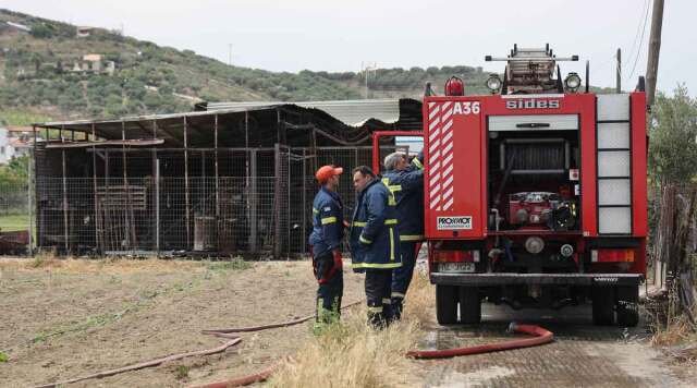 Συνελήφθη 43χρονος για πυρκαγιά από αμέλεια στο Αγρίνιο, του επιβλήθηκε πρόστιμο 1640 ευρώ Συνελήφθη-43χρονος-για-πυρκαγιά-από-αμέλεια-στο-Αγρίνιο,-του-επιβλήθηκε-πρόστιμο-1640-ευρώ