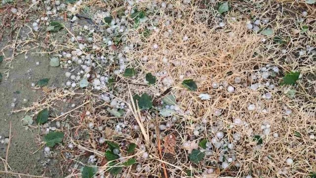 Καταστροφές από το χαλάζι και τους ισχυρούς ανέμους σε χιλιάδες στρέμματα καλλιεργειών στον Έβρο Καταστροφές-από-το-χαλάζι-και-τους-ισχυρούς-ανέμους-σε-χιλιάδες-στρέμματα-καλλιεργειών-στον-Έβρο