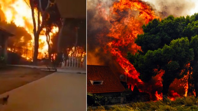 Οκτώ χρόνια μετά τη φονική πυρκαγιά στο Μάτι, το βίντεο που κόβει την ανάσα: Γύρισε να σώσει τη γάτα του και τον κύκλωσαν οι φλόγες Οκτώ-χρόνια-μετά-τη-φονική-πυρκαγιά-στο-Μάτι,-το-βίντεο-που-κόβει-την-ανάσα:-Γύρισε-να-σώσει-τη-γάτα-του-και-τον-κύκλωσαν-οι-φλόγες