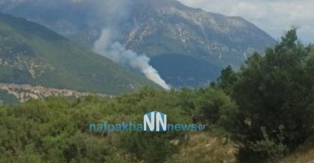 Φωτιά τώρα στο Ανθόφυτο Αιτωλοακαρνανίας, καίει δασική έκταση – Σηκώθηκαν 4 αεροσκάφη και 2 ελικόπτερα Φωτιά-τώρα-στο-Ανθόφυτο-Αιτωλοακαρνανίας,-καίει-δασική-έκταση-–-Σηκώθηκαν-4-αεροσκάφη-και-2-ελικόπτερα