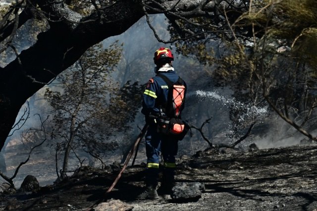 Συνελήφθη 27χρονος που προκάλεσε φωτιά στο Κορωπί από ρευματοκλοπή Συνελήφθη-27χρονος-που-προκάλεσε-φωτιά-στο-Κορωπί-από-ρευματοκλοπή