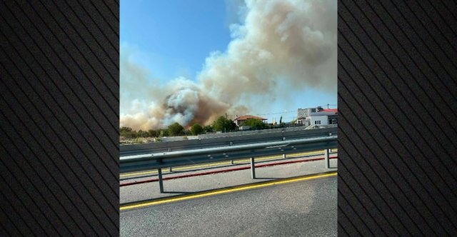 Περιορίστηκε η φωτιά στην Πυλαία Θεσσαλονίκης, έκαιγε κοντά σε σπίτια Περιορίστηκε-η-φωτιά-στην-Πυλαία-Θεσσαλονίκης,-έκαιγε-κοντά-σε-σπίτια