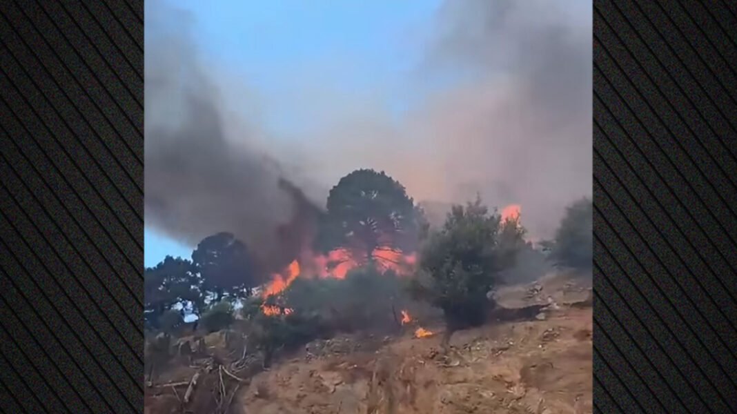Φωτιά-στο-Πλωμάρι-της-Λέσβου,-ενισχύθηκαν-οι-δυνάμεις,-επιχειρούν-6-εναέρια