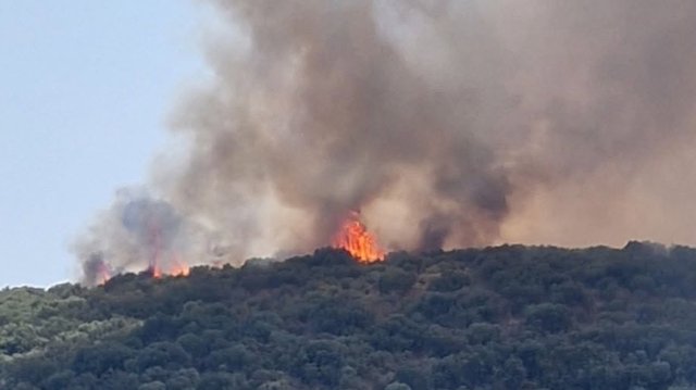 Φωτιά στον Αγερανό Λακωνίας: Ενισχύθηκαν οι δυνάμεις, 112 για ετοιμότητα, δείτε βίντεο Φωτιά-στον-Αγερανό-Λακωνίας:-Ενισχύθηκαν-οι-δυνάμεις,-112-για-ετοιμότητα,-δείτε-βίντεο