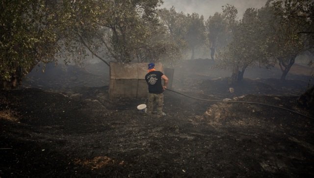 1.000-καμένα-στρέμματα-η-πρώτη-εκτίμηση-από-τη-φωτιά-στο-Πλωμάρι,-αγωνία-για-τις-αναζωπυρώσεις