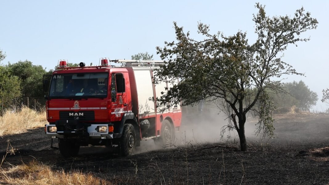Φωτιά στην περιοχή Αετός Καρύστου στην Εύβοια Φωτιά-στην-περιοχή-Αετός-Καρύστου-στην-Εύβοια
