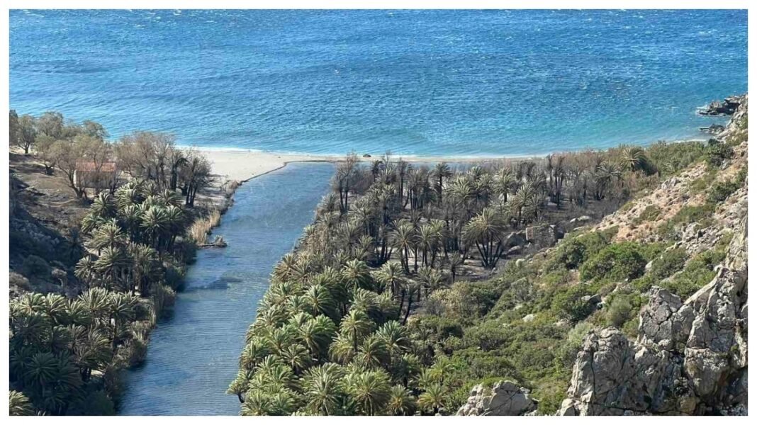 Περιορισμένες οι ζημιές στο Φοινικόδασος του Πρέβελη, σύμφωνα με την Περιφέρια Ρεθύμνου, δείτε βίντεο και φωτογραφίες Περιορισμένες-οι-ζημιές-στο-Φοινικόδασος-του-Πρέβελη,-σύμφωνα-με-την-Περιφέρια-Ρεθύμνου,-δείτε-βίντεο-και-φωτογραφίες