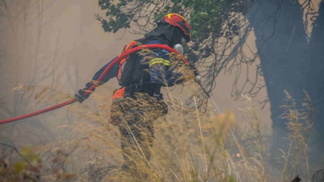 Δύο πυροσβέστες στο νοσοκομείο από τη φωτιά στη Βοιωτία Δύο-πυροσβέστες-στο-νοσοκομείο-από-τη-φωτιά-στη-Βοιωτία