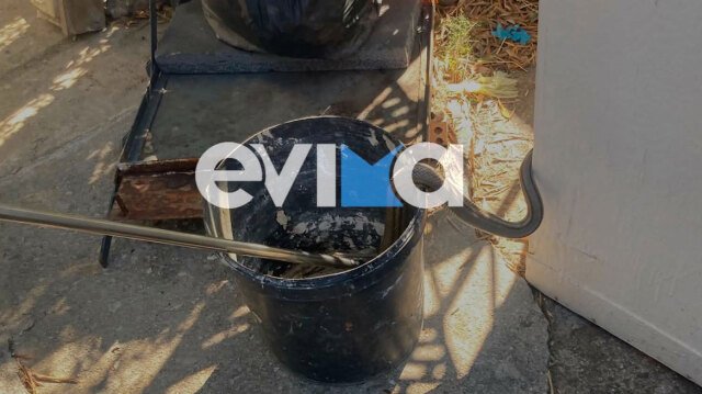 Φίδι-δύο-μέτρων-εισέβαλε-σε-αποθήκη-κατοικίας-στην-Εύβοια
