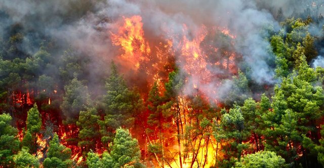 Η πρόγνωση Τσατραφύλλια για τους ανέμους στο Πόρτο Γερμενό: Τι θα γίνει τις επόμενες ώρες, δείτε βίντεο Η-πρόγνωση-Τσατραφύλλια-για-τους-ανέμους-στο-Πόρτο-Γερμενό:-Τι-θα-γίνει-τις-επόμενες-ώρες,-δείτε-βίντεο