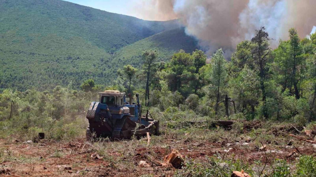 Καρέ καρέ η επιχείρηση δημιουργίας αντιπυρικών ζωνών σε Κρύο Πηγάδι και Βίλια, δείτε βίντεο και φωτογραφίες Καρέ-καρέ-η-επιχείρηση-δημιουργίας-αντιπυρικών-ζωνών-σε-Κρύο-Πηγάδι-και-Βίλια,-δείτε-βίντεο-και-φωτογραφίες