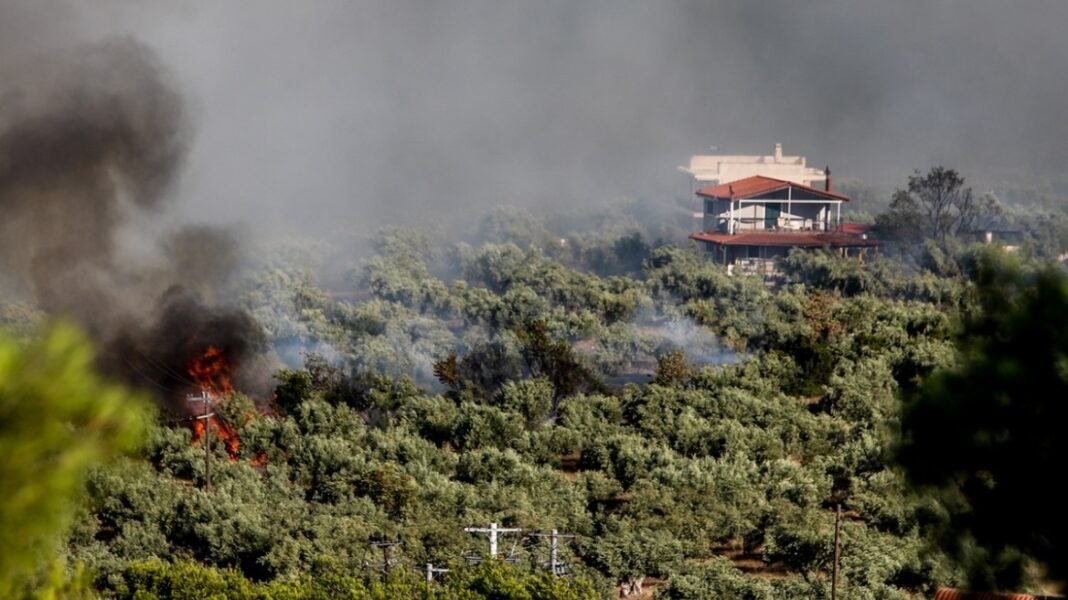 Θήβα: Ενώπιον του εισαγγελέα οδηγούνται οι δύο συλληφθέντες για την πυρκαγιά στη Βοιωτία που επεκτάθηκε στην Αττική Θήβα:-Ενώπιον-του-εισαγγελέα-οδηγούνται-οι-δύο-συλληφθέντες-για-την-πυρκαγιά-στη-Βοιωτία-που-επεκτάθηκε-στην-Αττική