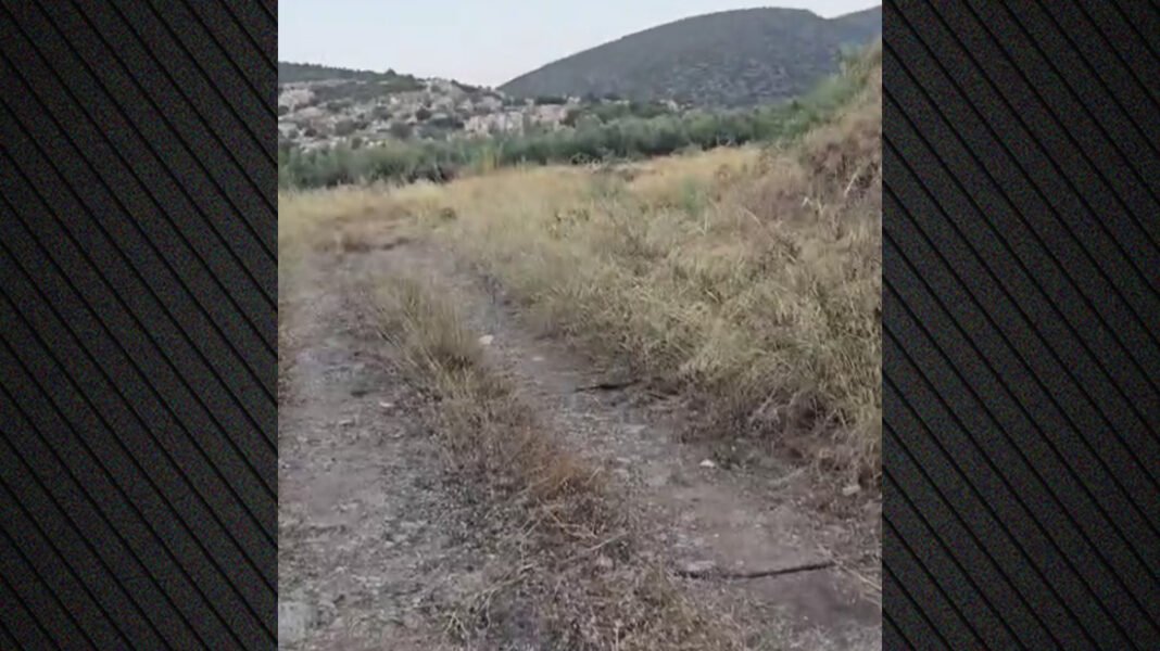 Βίντεο:-Εδώ-εντοπίστηκε-η-σορός-του-ψυχολόγου-που-δολοφόνησαν-Ινδοί-στο-Ναύπλιο,-σε-αγροτική-περιοχή-θαμμένη-κάτω-από-δέντρα